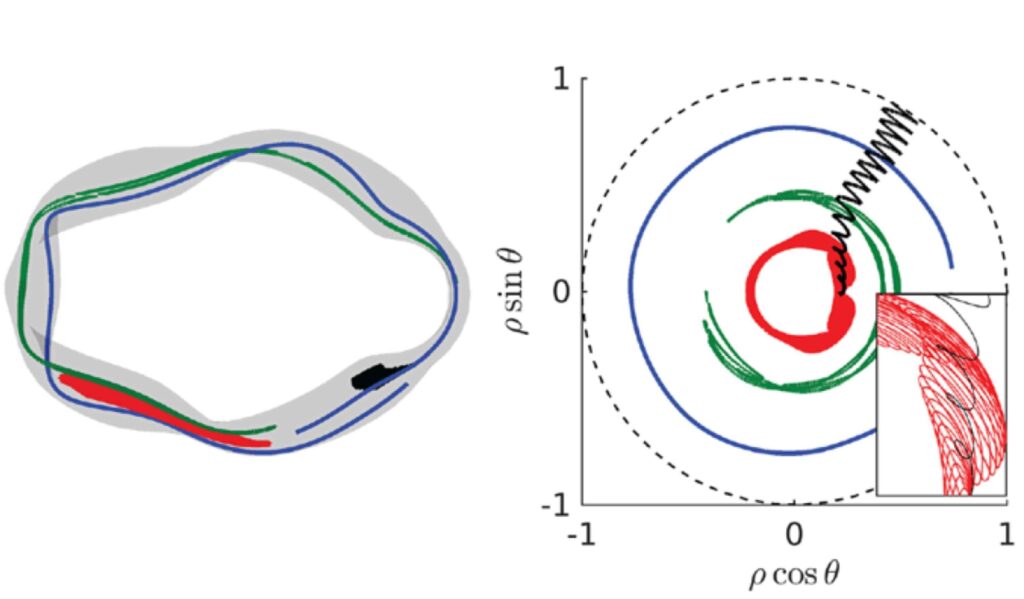 Trapped particles in a stellarator